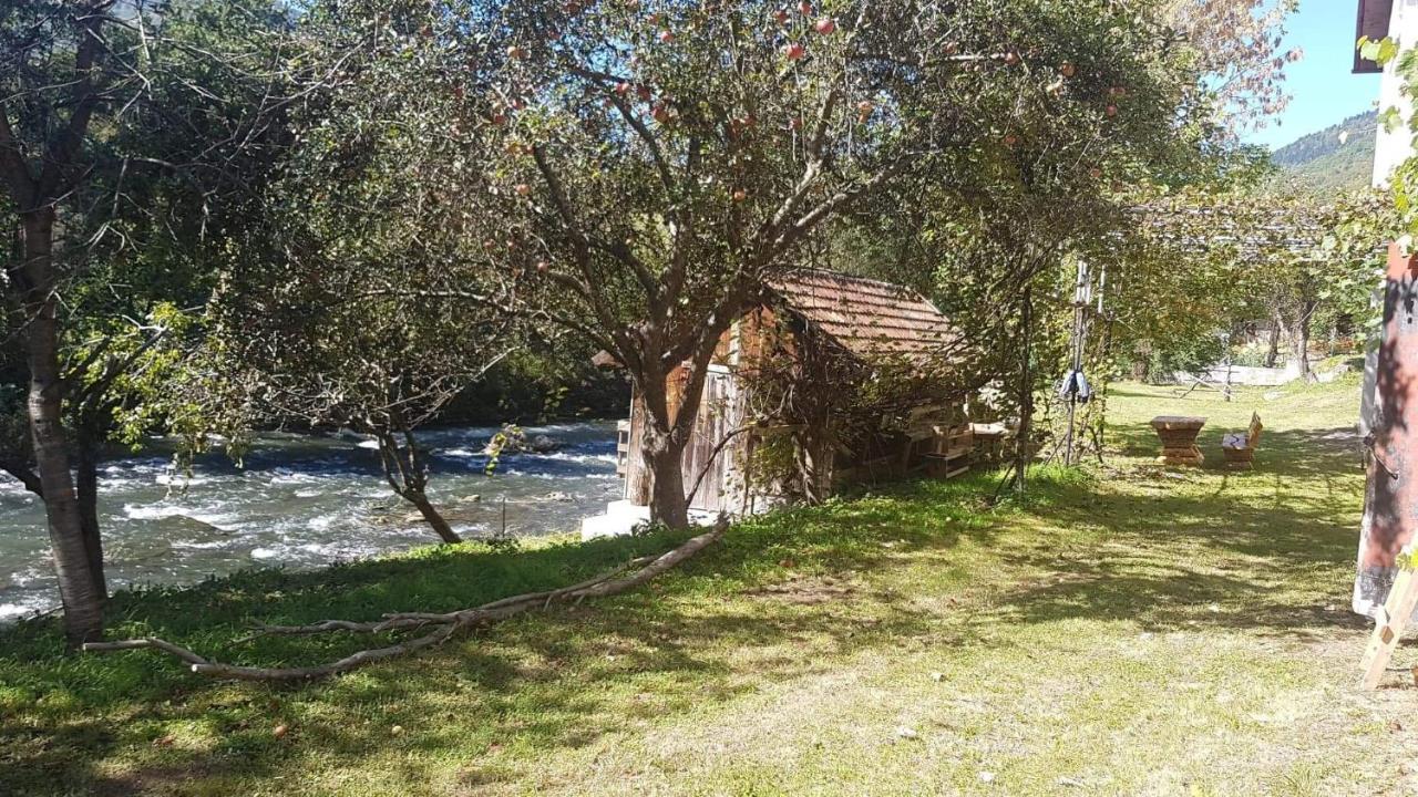 יאיצי Vinac Guest House מראה חיצוני תמונה